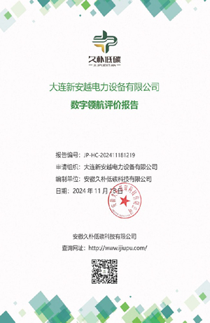 数字领航评价报告